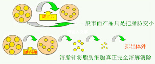 作用原理
