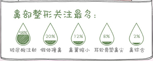 鼻部整形数据