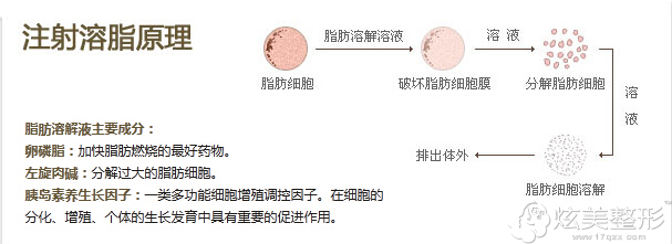 的注射流程原理 的注射流程原理