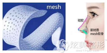 ������¡��ʧ���޸�������mesh����