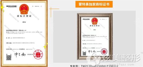 武汉壹加壹提出的蒙特鼻获得的证书 武汉壹加壹提出的蒙特鼻获得的证书