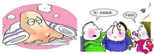鼻中隔偏曲的危害 鼻中隔偏曲的危害