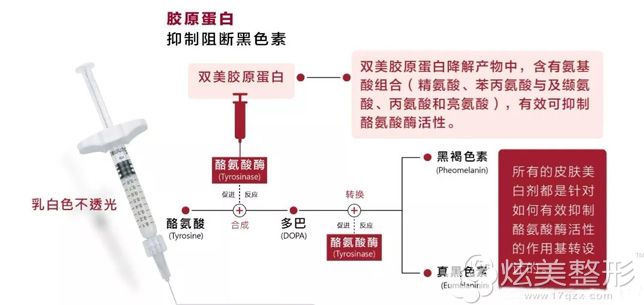 双美胶原蛋白去黑眼圈 双美胶原蛋白去黑眼圈