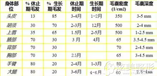 各部位毛发生长周期时间表 各部位毛发生长周期时间表