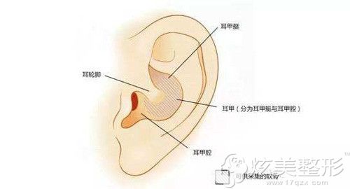���ֽ�֧�Ŷ��䲻�����