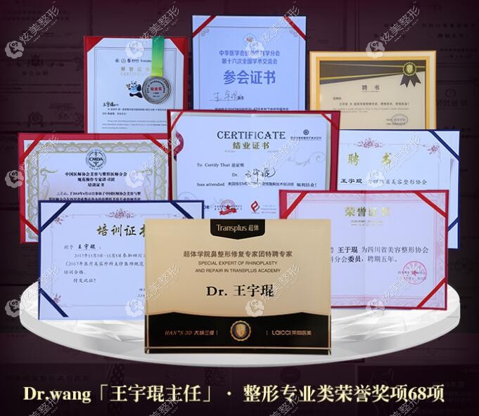 王宇琨医生所获得的荣誉证书 王宇琨医生所获得的荣誉证书