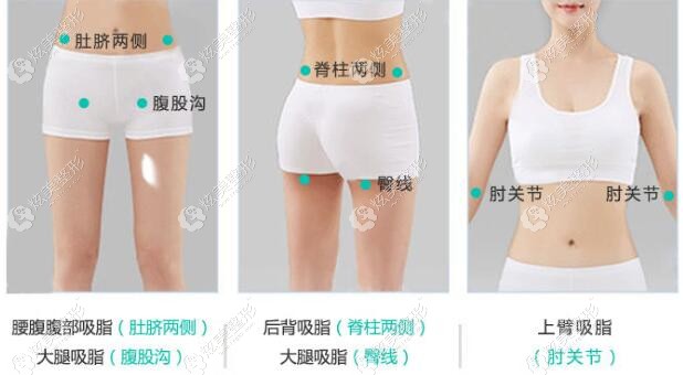 �����֬��λ�Ľ����