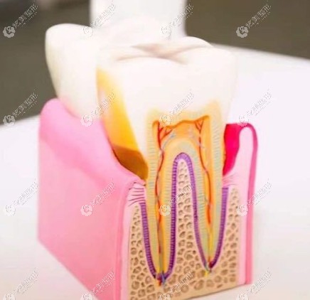 ���ϵ����ݽ��������˺�����