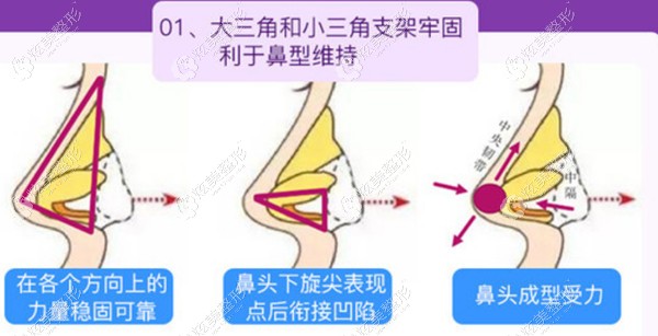 �����������߹Ǳ��ۺϹ���