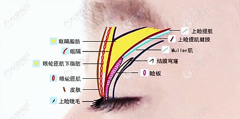 �������˫��Ƥ�޸��ļ���ͦ��������˵������С���޸������Ӻ���Ȼ