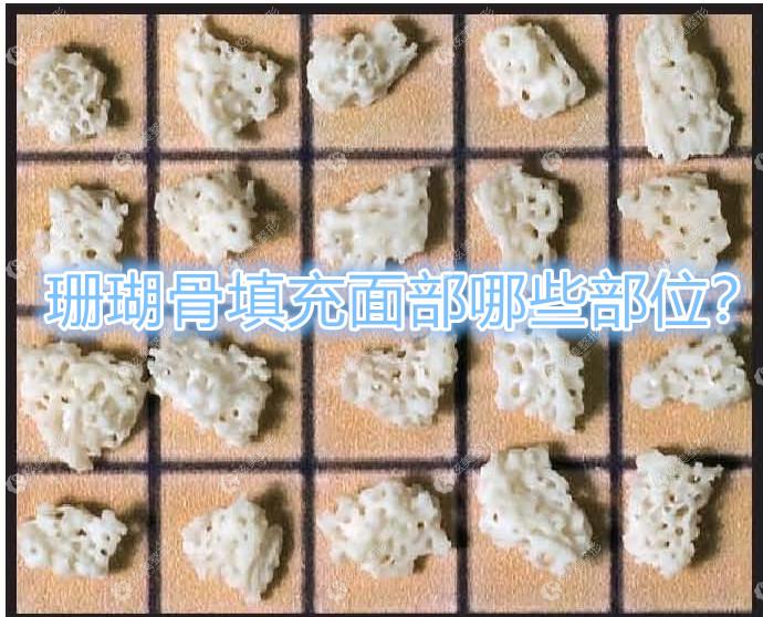 ɺ��������沿��Щ��λ����ü�����ǻ��ס�¡�ǵȲ�λ����������ͬ