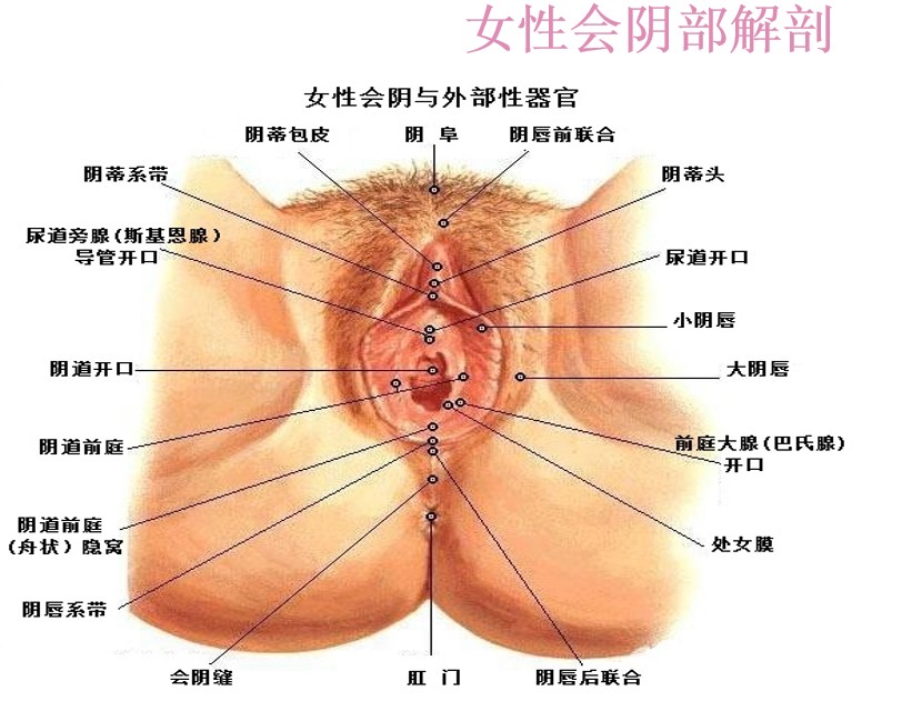 深圳仁爱医疗美容——隐私防护极致,敏感人群适配